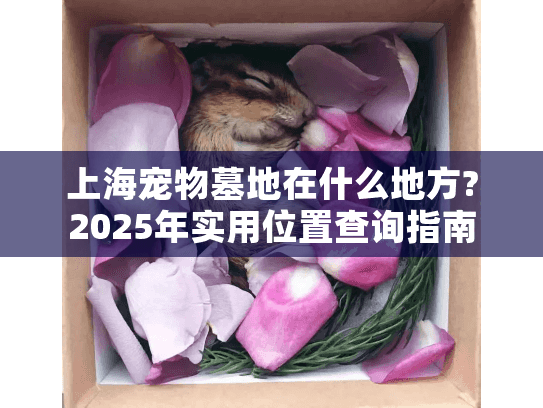 上海宠物墓地在什么地方?2025年实用位置查询指南