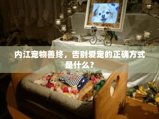内江宠物善终，告别爱宠的正确方式是什么？