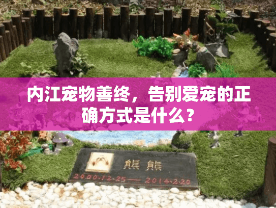 内江宠物善终，告别爱宠的正确方式是什么？