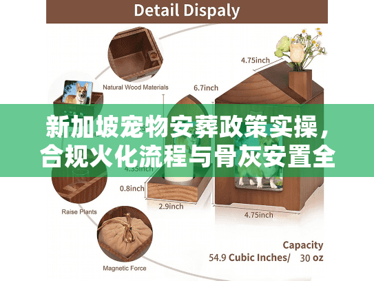 新加坡宠物安葬政策实操，合规火化流程与骨灰安置全案