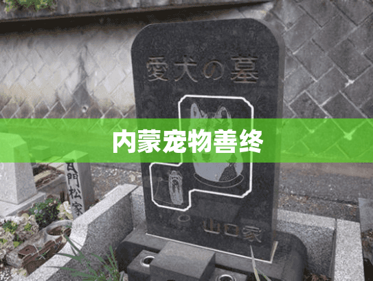 内蒙宠物善终