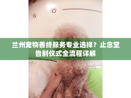 兰州宠物善终服务专业选择？止念堂告别仪式全流程详解