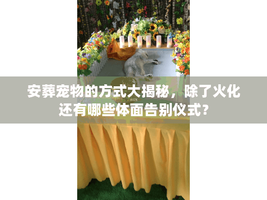安葬宠物的方式大揭秘，除了火化还有哪些体面告别仪式？