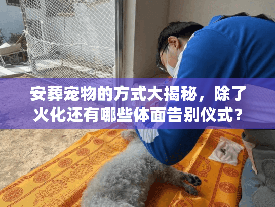 安葬宠物的方式大揭秘，除了火化还有哪些体面告别仪式？