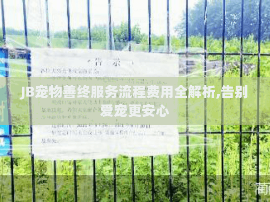 JB宠物善终服务流程费用全解析,告别爱宠更安心
