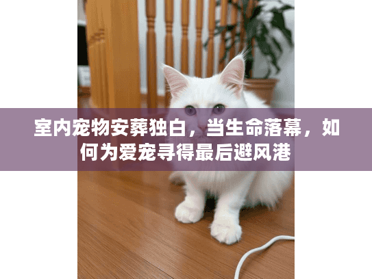 室内宠物安葬独白，当生命落幕，如何为爱宠寻得最后避风港