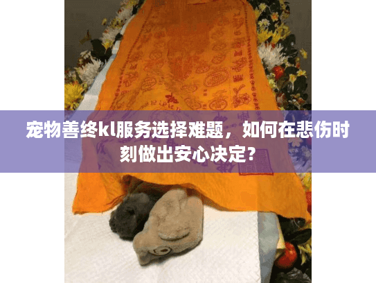 宠物善终kl服务选择难题，如何在悲伤时刻做出安心决定？