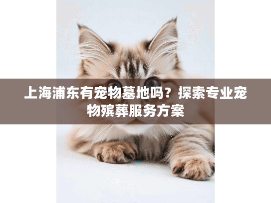 上海浦东有宠物墓地吗？探索专业宠物殡葬服务方案