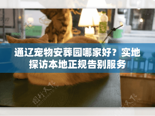 通辽宠物安葬园哪家好？实地探访本地正规告别服务