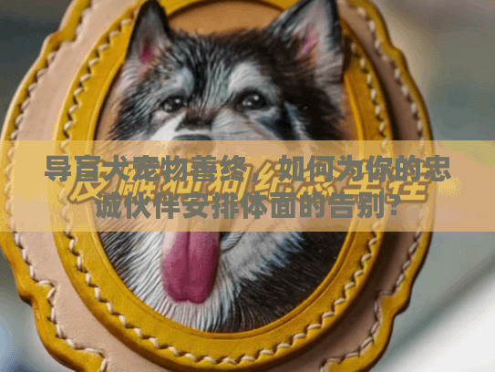 导盲犬宠物善终，如何为你的忠诚伙伴安排体面的告别？