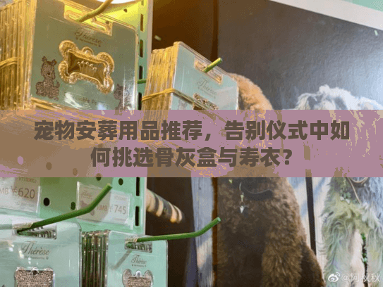 宠物安葬用品推荐,告别仪式中如何挑选骨灰盒与寿衣? 宠物安葬用品推荐,告别仪式中如何挑选骨灰盒与寿衣?