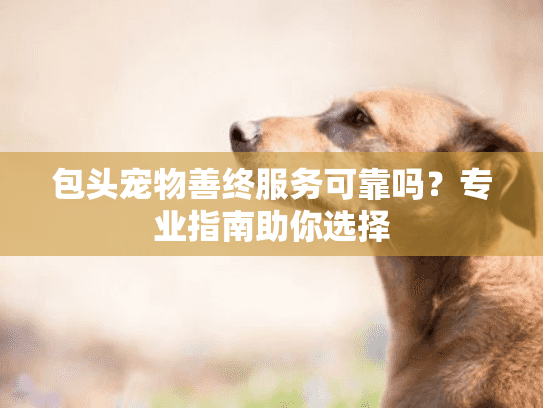 包头宠物善终服务可靠吗？专业指南助你选择