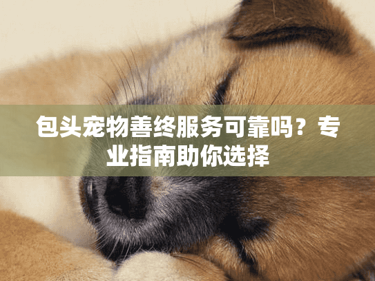 包头宠物善终服务可靠吗？专业指南助你选择