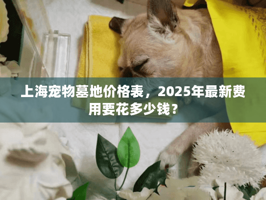 上海宠物墓地价格表，2025年最新费用要花多少钱？