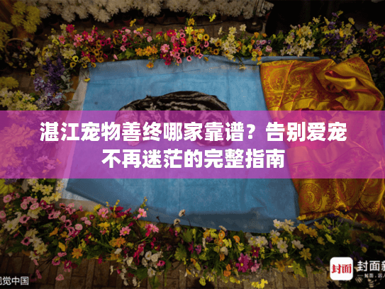 湛江宠物善终哪家靠谱？告别爱宠不再迷茫的完整指南