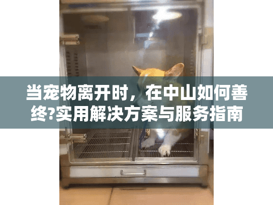 当宠物离开时，在中山如何善终?实用解决方案与服务指南