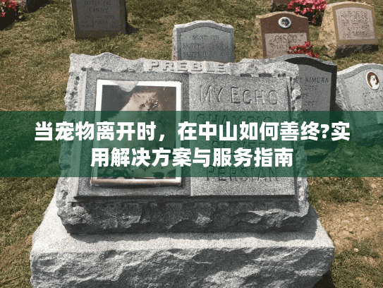 当宠物离开时，在中山如何善终?实用解决方案与服务指南