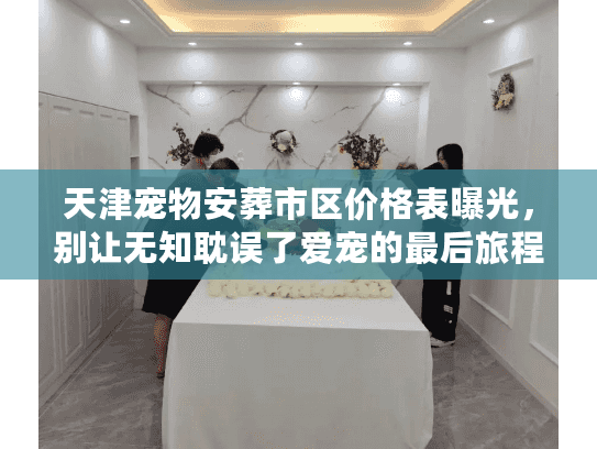 天津宠物安葬市区价格表曝光，别让无知耽误了爱宠的最后旅程