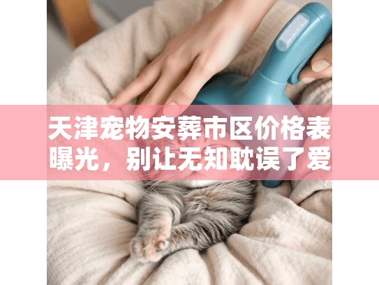 天津宠物安葬市区价格表曝光，别让无知耽误了爱宠的最后旅程