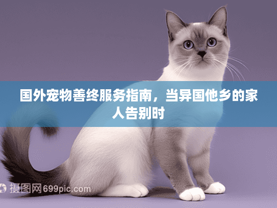 国外宠物善终服务指南，当异国他乡的家人告别时