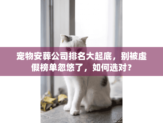 宠物安葬公司排名大起底，别被虚假榜单忽悠了，如何选对？