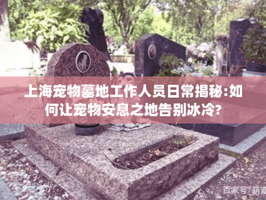 上海宠物墓地工作人员日常揭秘:如何让宠物安息之地告别冰冷?