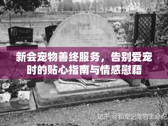 新会宠物善终服务,告别爱宠时的贴心指南与情感慰藉 新会宠物善终服务,告别爱宠时的贴心指南与情感慰藉