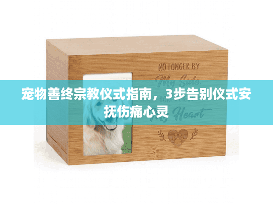 宠物善终宗教仪式指南，3步告别仪式安抚伤痛心灵