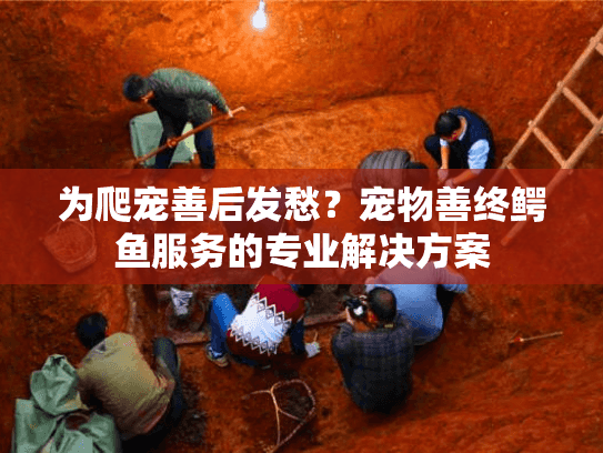 为爬宠善后发愁？宠物善终鳄鱼服务的专业解决方案