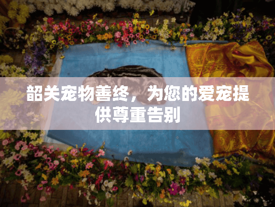 韶关宠物善终，为您的爱宠提供尊重告别