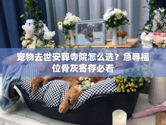 宠物去世安葬寺院怎么选?急寻福位骨灰寄存必看 宠物去世安葬寺院怎么选?急寻福位骨灰寄存必看