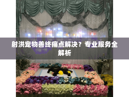 射洪宠物善终痛点解决？专业服务全解析