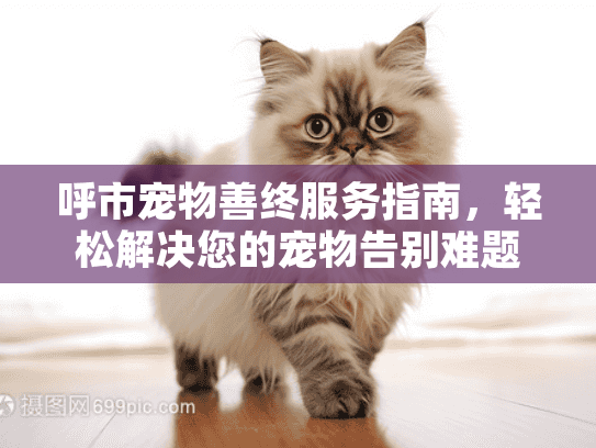 呼市宠物善终服务指南，轻松解决您的宠物告别难题！