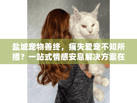 盐城宠物善终，痛失爱宠不知所措？一站式情感安息解决方案在此！