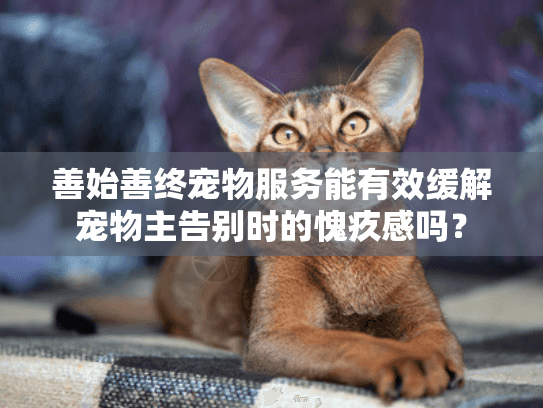 善始善终宠物服务能有效缓解宠物主告别时的愧疚感吗？