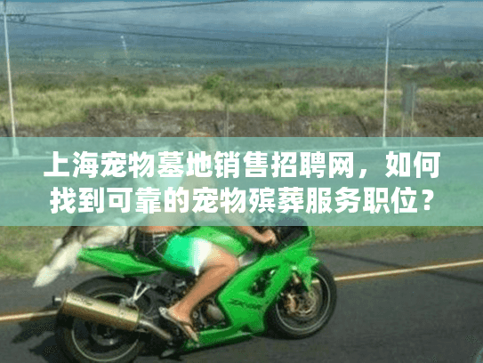 上海宠物墓地销售招聘网，如何找到可靠的宠物殡葬服务职位？