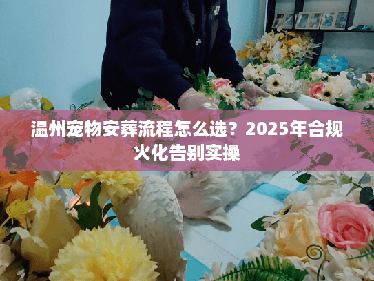 温州宠物安葬流程怎么选？2025年合规火化告别实操