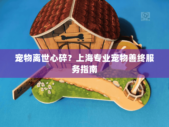 宠物离世心碎？上海专业宠物善终服务指南