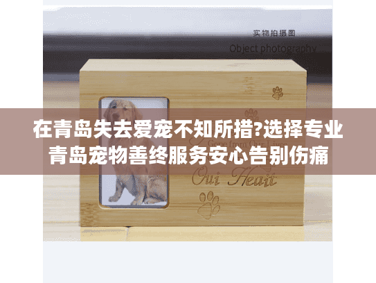 在青岛失去爱宠不知所措?选择专业青岛宠物善终服务安心告别伤痛
