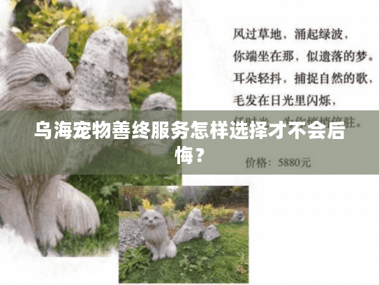 乌海宠物善终服务怎样选择才不会后悔？