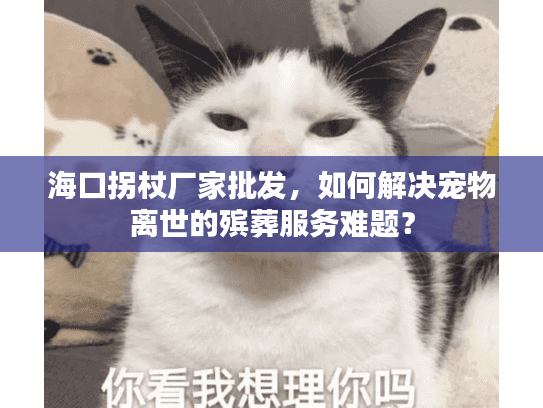 海口拐杖厂家批发，如何解决宠物离世的殡葬服务难题？