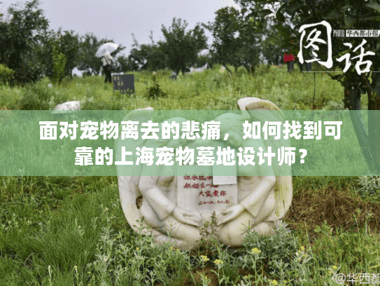 面对宠物离去的悲痛，如何找到可靠的上海宠物墓地设计师？