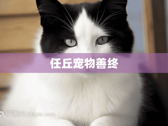 任丘宠物善终