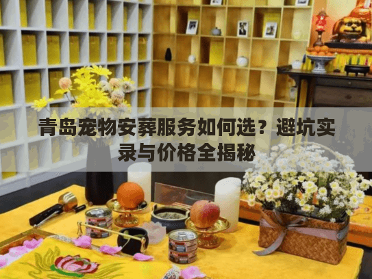 青岛宠物安葬服务如何选？避坑实录与价格全揭秘