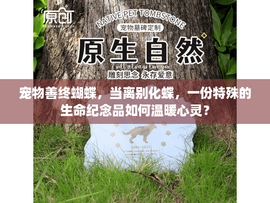宠物善终蝴蝶，当离别化蝶，一份特殊的生命纪念品如何温暖心灵？