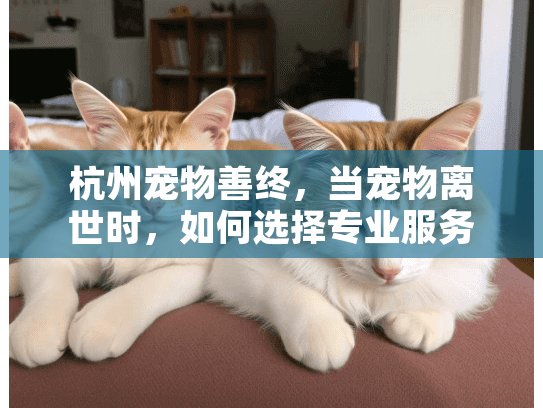 杭州宠物善终，当宠物离世时，如何选择专业服务？