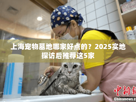 上海宠物墓地哪家好点的？2025实地探访后推荐这5家