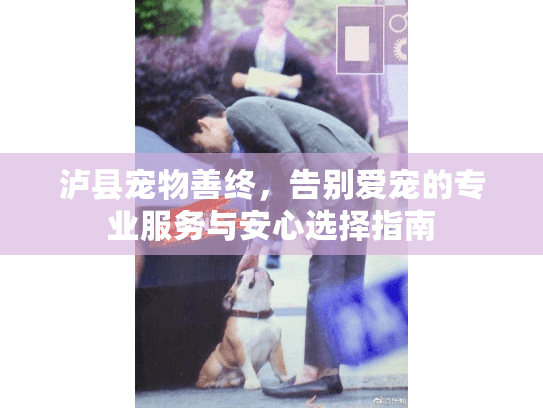 泸县宠物善终，告别爱宠的专业服务与安心选择指南