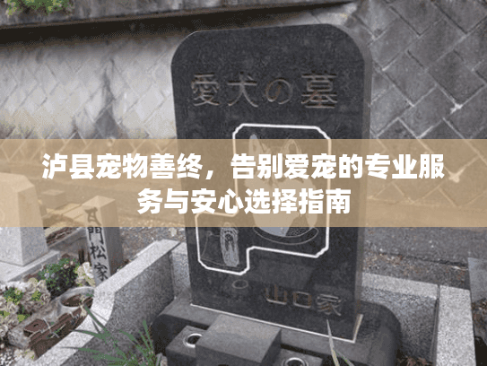 泸县宠物善终，告别爱宠的专业服务与安心选择指南