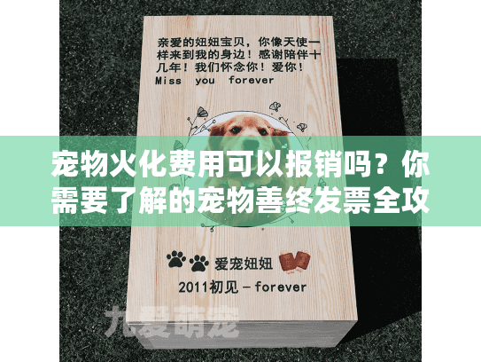 宠物火化费用可以报销吗？你需要了解的宠物善终发票全攻略